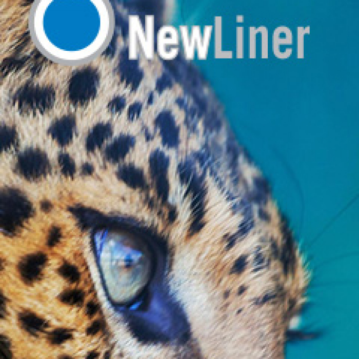 NewLiner Oy - Verkkosivusto